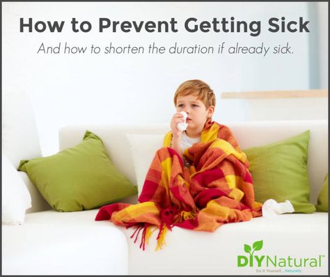 How to Prevent a Cold Getting Sick Oregano Oil For Colds, Heal Sore Throat, Human Extinction, Slippery Elm Bark, Cold And Cough Remedies, Slippery Elm, Herbal Recipes, Cold Prevention, Natural Cold Remedies