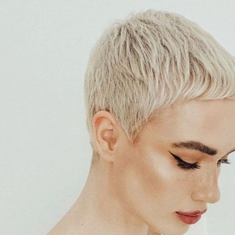 cropped2perfection on Instagram: "@daria.maloblocka shows just how glamorous and elegant an icy crop can look." Sarah B Hair Pixie, Cropped Blonde Hair, Dark Blonde Pixie Haircut, Pixie 2024, Pixie Cut Short, Pixie Mullet, Short Blonde Pixie, Really Short Hair, Short Curly Haircuts