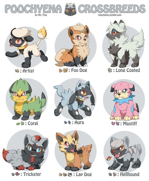 Pokemon Crossbreeds - Album on Imgur Poochyena Pokemon, Smeargle Pokemon, Furfrou Pokemon, Pokemon Crossbreeds, Fanmade Pokemon, Pokemon Mix, Pokemon Variations, Solgaleo Pokemon, Pokemon Ideas