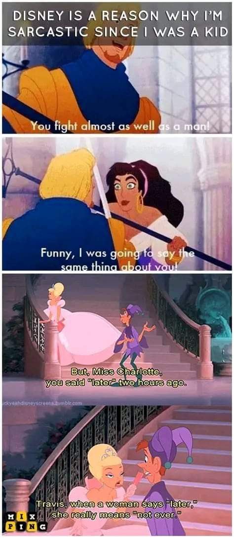 Funny Disney Pictures, Disney Princess Memes, Princess And Prince, Disney Theory, Disney World Pictures, Funny Disney Memes, Funny Disney Jokes, Funny Disney, Disney Facts