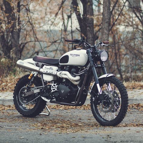 The ultimate Triumph Scrambler? Brat Bikes, Triumph Triple, Future Bike, Triumph Moto, Motor Klasik, Moto Scrambler, Motorcycle Workshop, Motos Vintage, Triumph Motorcycle