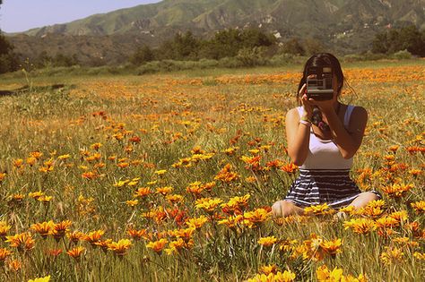 field Cute Simple Dresses, Field Of Flowers, Ap Art, Art Portfolio, Flower Field, Get Outside, Summer Of Love, Pacific Northwest, Creative Inspiration