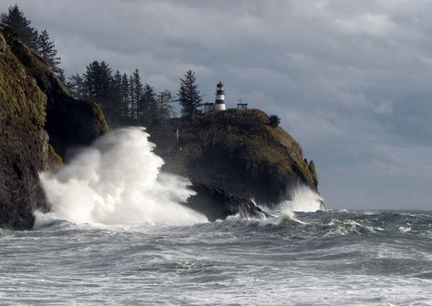 Cape Disappointment Campground in Cape Disappointment, Washington | When it comes to camping, Cape Disappointment is a choose your own adventure. It’s stocked with a whopping... Cape Disappointment, Pacific Coast Road Trip, Washington State Parks, Waikiki Beach, Free Camping, The Lighthouse, Camping Experience, Oregon Coast, Camping Hacks