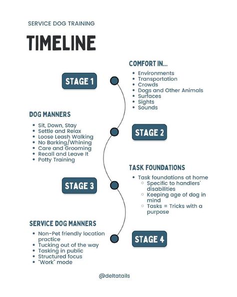 The most important stage of service dog training is the first... The dogs learn to be calm, confident, and resilient dogs, regardless of their jobs. They learn to be comfortable anywhere, to react to new things with curiosity or neutrality, and follow cues that keep them safe and respectable members of the community. This is the stage I see most folks rush through. Unfortunately, most regret that after a few months of struggling during adolescence and adulthood. ANY dog can benefit by wo... Training Checklist, Loose Leash Walking, Service Dog Training, Dogs Training, Be Calm, Train Service, Dog Rooms, Service Dog, Dog Travel