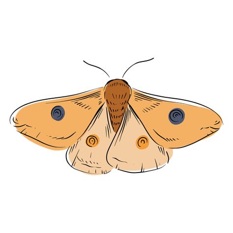 Moth illustration #AD , #Ad, #sponsored, #illustration, #Moth Moths Drawing Simple, Moth Drawing Aesthetic, Moth Art Cute, Aesthetic Moth Drawing, Moth Cartoon Drawing, Fuzzy Moth Drawing, Easy Moth Painting, Simple Moth Painting, Moth Drawing Cute