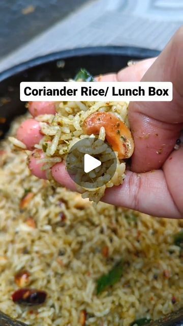 Lunch Recipes Indian Rice, Coriander Rice Recipe, Quick Lunch Recipes Indian, Rice Recipes For Lunch, Coriander Rice, Indian Lunch Box, Lunch Box Recipe, Lunch Recipes Indian, Quick Lunch Recipes