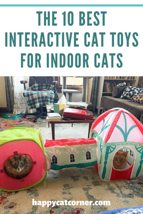 The 10 Best Interactive Cat Toys for Indoor Cats | Happy Cat Corner Cat Interactive Toys, Cat Entertainment Indoor, Diy Cat Toys Interactive, Best Kitten Toys, Cat Tunnel Indoor, Cat Activities, Cat Room Decor, Ferrets Care, Best Cat Toys