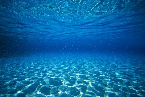 Bahamas Underwater     |     Fine Art Photography by Aaron Chang      |      Ocean & Surf Photography Under The Ocean, Concept Photography, Ocean Surf, Surf Photography, Water Adventure, Surfing Photography, Water Reflections, Water Art, Underwater Photography