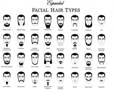 21 Grooming Charts Every Guy Needs To See Names Of Haircuts, Types Of Facial Hair, Black Haircut Styles, Fade Haircut Styles, Beards And Mustaches, Men With Beards, Haircut Names For Men, Beard Designs, Mens Facial