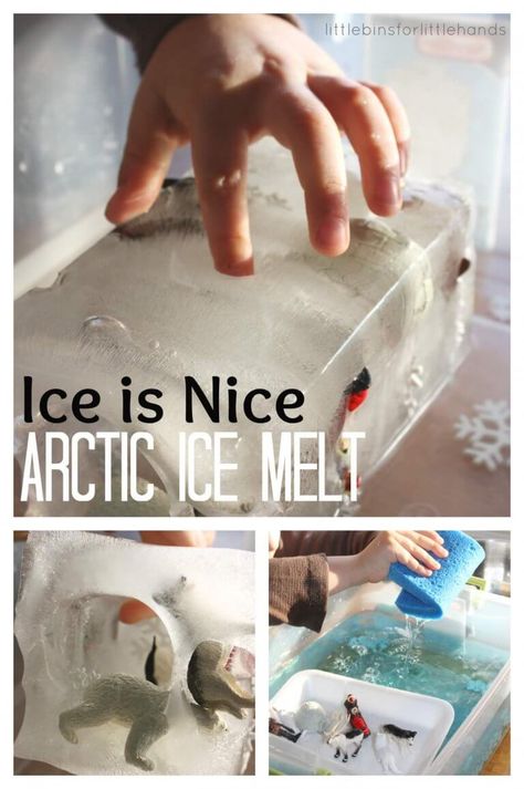 Arctic Ice Sensory Play Winter Ice Melt Milk Container Water Sensory Play, Thanksgiving Activities Preschool, Winter Vacations, Tutorial Origami, Christmas Crafts For Toddlers, Pole Nord, Thanksgiving Preschool, Polar Animals, Winter Activities For Kids