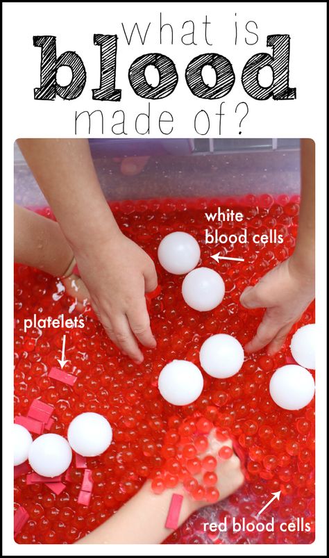 A hands-on science demonstration (and sensory tub idea) to learn what blood is made of! What Is Blood, Vetenskapliga Experiment, Science Demonstrations, Cool Science Fair Projects, Human Body Activities, Child Life Specialist, Kid Science, Human Body Unit, Fair Projects