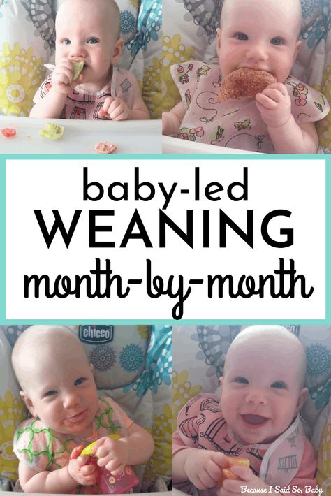 Baby Led Weaning First Foods, Weaning Foods, Baby Led Feeding, Baby Led Weaning Recipes, Baby First Foods, Weaning Recipes, Baby Weaning, Homemade Baby Foods, Baby Prep