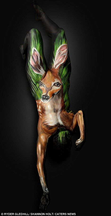 Body paint artist Shannon Holt - Models are forced to hold contorted positions to bring the animal art to life. A man balances on one hand to create a deer Body Paintings, Female Body Paintings, Human Body Art, Human Sculpture, Human Canvas, Art Tumblr, Tattoo Girls, Arte Animal, Hand Art