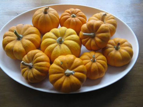 What To Do With All Those Mini Pumpkins… Hint: It Involves Your Oven! | Kitchn How To Cook Mini Pumpkins, Baked Mini Pumpkins, Veggies Recipes, Vegan Wine, Cooking Pumpkin, Cold Weather Food, White Platter, Paleo Pumpkin, Simple Centerpieces