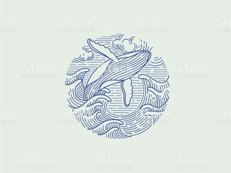 Whale Vector, Whale Sketch, Whale Drawing, Whale Illustration, Whale Tattoos, Whale Art, Humpback Whale, Art Et Illustration, Line Art Drawings