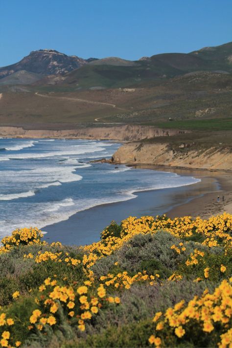 Jalama Beach cabins -- small, but cozy! - Review of Jalama Beach County Park, Lompoc, CA - TripAdvisor Jalama Beach, Lompoc California, Petaluma California, Going Off The Grid, California Baby, Beach Cabin, California Girl, Watercolor Ideas, California Love