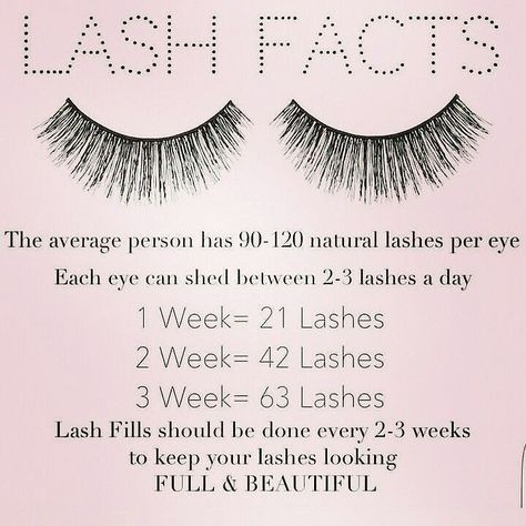 Lash Facts! Its important to keep up on your lash fills to keep your own lashes healthy and prevent the lashes from flip flopping. Our Classic Eyelash-extension special is currently running for our grand reopening coming up in April 12th-May 12th Book online with Leidi Jen or Shary at http://ift.tt/2mhaW0k @atouchofcolormakeup.com #eyelashextensions #sheltonctsalon #ctlashstudio #fairfieldcounty #newhavencounty #lashesct #ctbride #lashlove #prettylashes #lashaffairbyjparis http://ift.tt/1q Lash Facts, Lash Tips, Lash Lounge, Lash Extentions, Lash Quotes, Lash Salon, Eyelash Extentions, Lash Room, Lash Curler