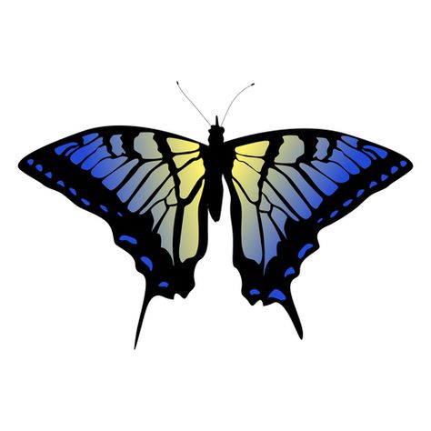 Blue and yellow butterfly design #AD , #PAID, #AD, #yellow, #butterfly, #design, #Blue Art Web, Yellow Butterfly, Shirt Maker, Layout Template, Create T Shirt, Design Ad, Butterfly Design, Design Png, Blue And Yellow