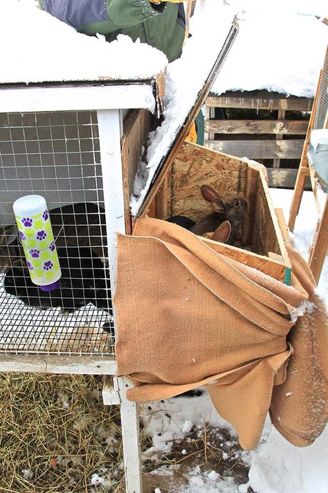 Rabbit Nesting Boxes, Rabbit Nesting Box Ideas, Rabbit Nesting Box Diy, Homestead Rabbits, Rabbit Nesting Box, Nesting Box Ideas, Nesting Boxes Diy, Permaculture Homestead, Rabbit Hutch Indoor