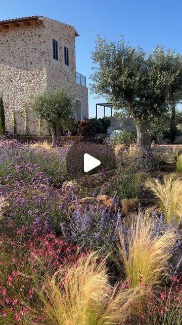 Mallorca Garden Design on Instagram: "Walking up to the front of the house meeting the morning ligh at Casa Miquel. Dreamy." Mallorca Garden, The Morning, Garden Design, The House, Walking, On Instagram, Instagram, Design