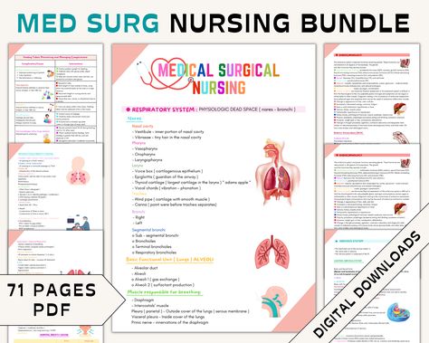 Looking for a comprehensive Med surg bundle? Look no further than our med surg study guide! This Medical surgical nursing study guide includes all the essential information you need to succeed in your nursing school exams. Plus, This Nursing Bundle comes with a free nursing notes bundle and a nursing bundle to help you organize your studies. Whether you're a RN/PN, FNP nurse, our Nursing study guide is perfect for you. Med Surg Notes, Notes Nursing, Nurse Study, Med Surg Nursing, Nursing Study Guide, Nurse Study Notes, Surgical Nursing, Medical Surgical Nursing, Med Surg