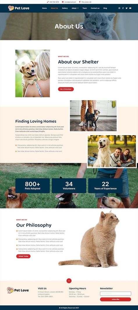 Pet Love - Animal Shelter Elementor Template Kit Pet Websites, Animal Shelter Design, Ui Website, Shelter Design, Ad Template, Website Design Layout, Template Site, Colorful Animals, Shelter Dogs