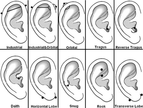 Piercing Diagram, Ear Piercing Diagram, Ear Piercing Names, Ear Piercings Chart, Piercing Chart, Double Ear Piercings, Types Of Ear Piercings, Ruby Earrings Studs, Cute Piercings