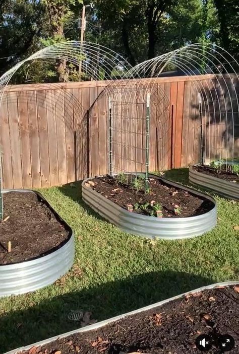 Veggie Patch Ideas, Overhead Trellis, Vege Patch, Backyard Raised Garden, Dream Garden Backyards, Tiny Gardens, Front Lawn Landscaping, River Rock Garden, Trellis Ideas