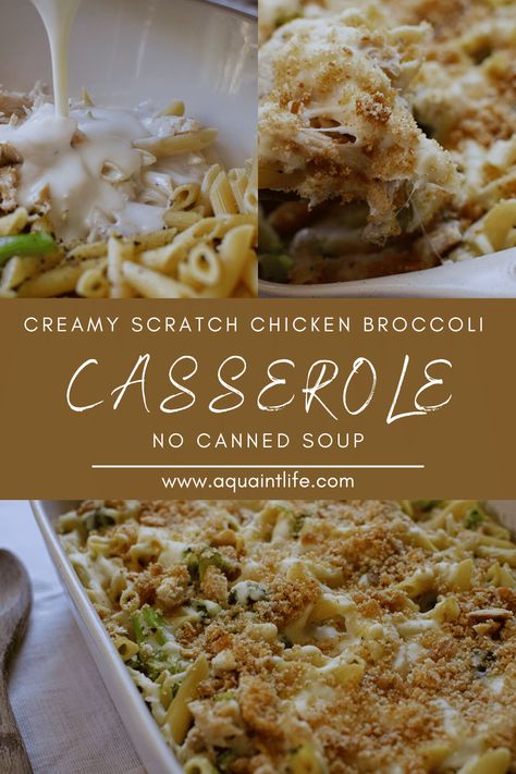 Creamy Scratch Chicken Broccoli Casserole (No Canned Soup) - A Quaint Life Shredded Chicken Casserole, Chicken Breast Casserole Recipes, Chicken Breast Casserole, Baked Chicken Casserole, Creamy Chicken Casserole, Canned Soup, Chicken Broccoli Casserole, Baked Pasta Recipes, Baked Casserole