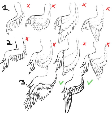 Dinosaur Anatomy, Feathered Raptor, Dinosaur Stuff, Feathered Dinosaurs, Raptor Dinosaur, Dino Art, Dinosaur Sketch, Wing Feathers, Angel Wings Design