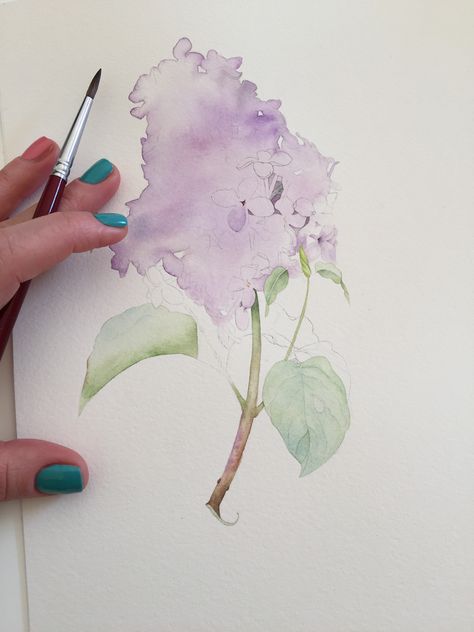 Lilac watercolor illustration on Behance Watercolor Lilacs, Lilac Watercolor, Lilac Painting, Watercolor Art Landscape, Watercolor Flowers Tutorial, Watercolor Art Paintings, Watercolor Lessons, Watercolor Pictures, Watercolor Flower Art