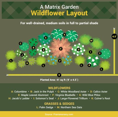 Matrix Planting Plan, Matrix Gardening, Matrix Planting, Slope Gardening, Ornamental Grass Landscape, Backyard Orchard, Garden Palette, Garden Design Pictures, Plants Nursery