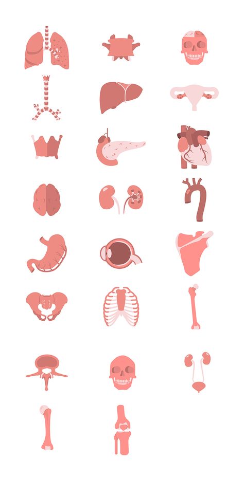 23 Human Anatomy Icons – Free Design Resources Medical Clip Art, Anatomical Heart Art, Body Preschool, Human Body Organs, Nursing School Essential, Basic Anatomy And Physiology, Nurse Aesthetic, Science Stickers, Medical School Motivation