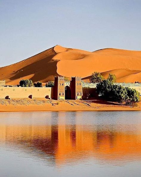 Morocco identity . All the visual inspiration you need to explore Morocco every day!� Visit our facebook page . Sahara désert marocains erg chebbi Merzouga morocco  #sunset #sunsets #sunsetlovers#naturephotography #nature #naturelovers#adventuresinmorocco #adventure #lovequotes#sunset_pics #natgeo #ilovenature#naturegeography #natureshots #natureisamazing#bestdiscovery #bestoftheday #colors #light#wonderfulview #wonderfulplaces #travelworld#landscape_captures #landscape #view #skycolors#morocco Erg Chebbi Morocco, Desert Kingdom, Arab Desert, Aesthetic Desert, Morocco Africa, Desert Morocco, Morocco Desert, Mystic River, Visit Morocco