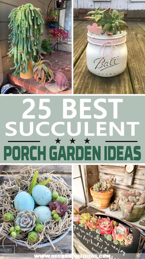 Best Succulent Porch Garden Ideas. Looking for a way to spruce up your front porch? These porch garden ideas with succulents are sure to inspire you to create a mini oasis right outside your doorstep. Succulent Garden Ideas, Succulent Planting, Tire Garden, Succulent Ideas, Cucumber Trellis, Plant Pot Diy, Planting Pots, Succulent Planters, Succulent Soil