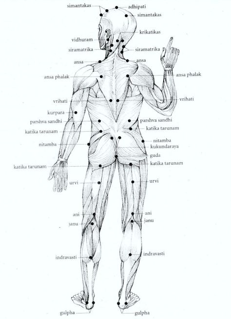 Shiatsu Massage Acupressure, Acupuncture Benefits, Ayurvedic Massage, Ayurveda Yoga, Ayurvedic Healing, Reflexology Massage, Cupping Therapy, Shiatsu Massage, Acupressure Points