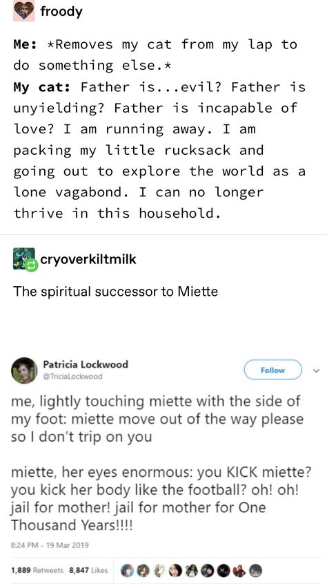 Miette Cat Tumblr, Miette Cat, Cat Tumblr, Funny Animal Photos, Funny Tumblr Posts, Silly Animals, Silly Cats, Cute Little Animals, Animal Memes