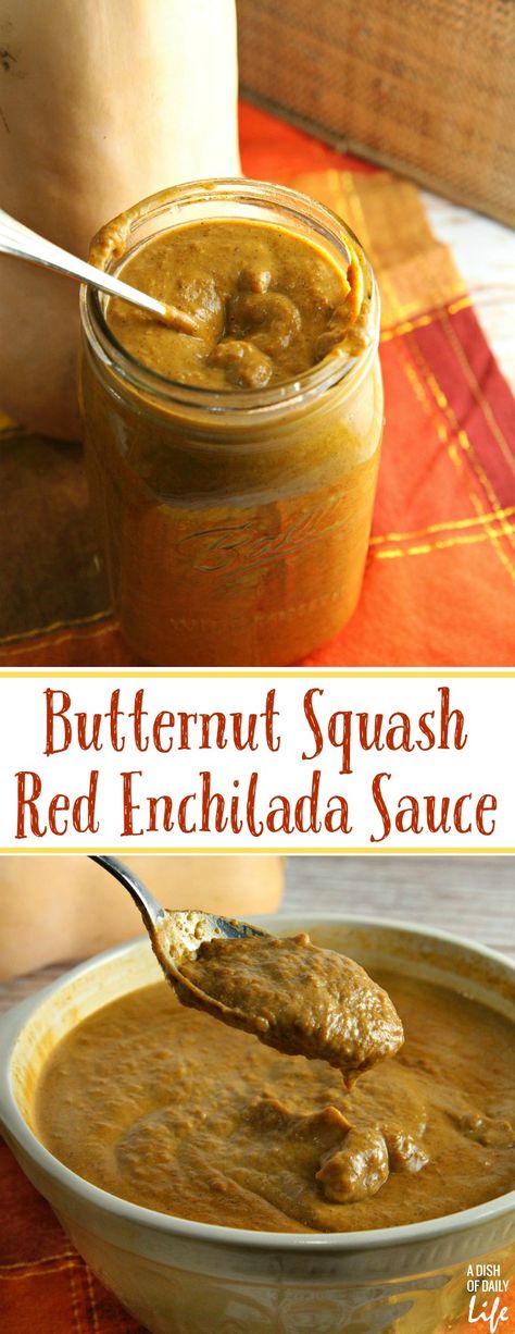 Red Enchilada Sauce Recipe, Enchilada Sauce Recipe, Squash Sauce, Butternut Squash Sauce, Kulfi Recipe, Recipes With Enchilada Sauce, Red Enchiladas, Diy Spices, Sauce Pasta