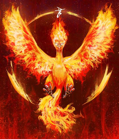 Pokemon Go Moltres Valor by https://www.deviantart.com/djbshadow on @DeviantArt Moltres Pokemon, Zapdos Pokemon, Deviantart Pokemon, Pokemon Realistic, Pokemon Kalos, Pokemon Firered, Pikachu Art, Pokemon Poster, Pokemon Backgrounds