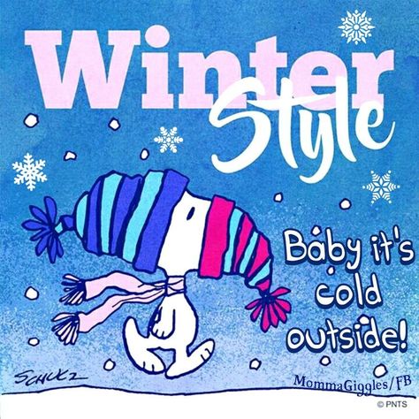 I just heard, snow is coming. Maybe next weekend. Tomorow is going to be windy and rainy! Snoopy Winter, Winter Humor, Doxie Art, Snoopy Funny, Big Friends, Snoopy Images, Peanuts Cartoon, Peanuts Characters, Snoopy Quotes