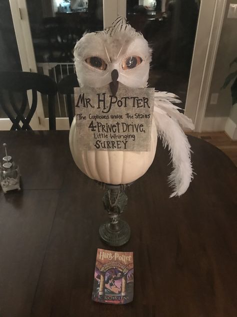 Harry Potter Decorated Pumpkin, Harry Potter Pumpkin Decorating Ideas, Golden Snitch Pumpkin Painting, Hedwig Pumpkin, Harry Potter Storybook Pumpkins, Harry Potter Pumpkin Painting, Harry Potter Owl Pumpkin, Owl Pumpkin Decorating, Hedwig Painted Pumpkin