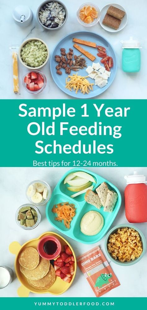 One Year Old Breakfast Ideas, One Year Old Foods, Picky Eating Toddler, Easy Toddler Lunches, Meal Schedule, Easy Toddler Meals, Eating Schedule, Toddler Breakfast, Protein Packed Meals