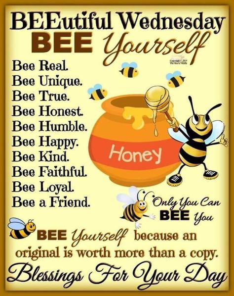 Christian Art Projects, Bee Humor, Bee Quotes, Good Morning Wednesday, Happy Wednesday Quotes, Wednesday Quotes, S Quote, Good Prayers, Busy Bee