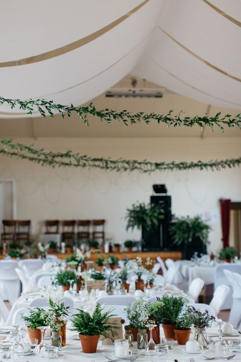 Potted Centerpiece: Boston fern, lavender, rosemary, and maidenhair ferns in terracotta pots. Green Wedding Centerpieces, Plant Centerpieces, Greenery Wedding Centerpieces, Green Centerpieces, Unique Wedding Flowers, Wedding Floral Centerpieces, Rustic Centerpieces, Tables And Chairs, Flower Centerpieces Wedding