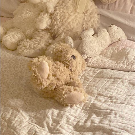 Cream Aesthetic, Milk Cookies, Beige Aesthetic, Light Academia, Brown Aesthetic, Dream Room, Teddy Bears, Pink Aesthetic, Pretty Pictures