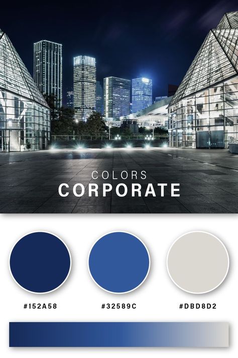 Corporate Branding Colors Corporate Color Palette Colour Schemes, Blue Logo Palette, Corporate Color Palette, Pantone Shade Card, Website Color Themes, Rgb Palette, It Company Website, Blue Color Pallet, Colour Shade Card