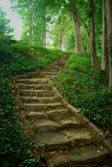 Stairway to the Grotto by Bonnie Cameron / 500px The Grotto, Garden Stairs, Stone Stairs, Outdoor Stairs, Forest Path, Stairway To Heaven, Environment Design, Samhain, Backyard Landscaping Designs