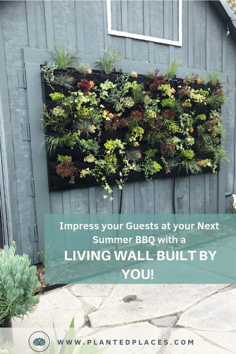 Vertical Garden Wall Succulent, Outdoor Living Wall Ideas, Plants On Wall Outdoor, Outdoor Garden Wall Ideas, Wall Garden Ideas Outdoor, Wall Plants Outdoor, Living Wall Outdoor, Plant Wall Outdoor, Outside Wall Ideas