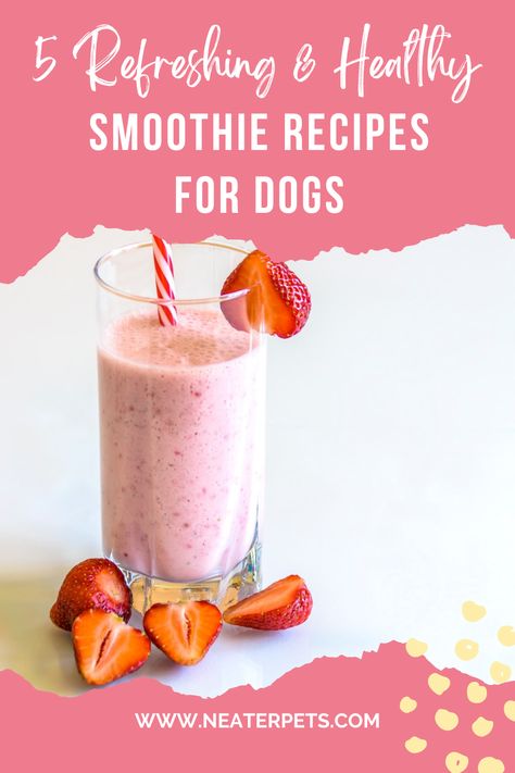 5 Refreshing & Healthy Smoothie Recipes for Dogs Smoothie For Dogs, Puppy Smoothie, Dog Smoothie Recipes, Dog Smoothie, Blueberry Banana Smoothie Recipes, Pup Party, Summer Dog Treats, Recipes For Dogs, Dogs Treats