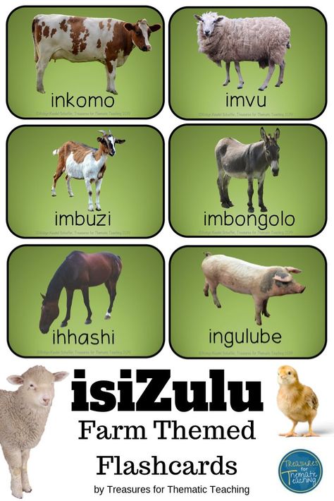 This resource is in IsiZulu one of South Africa's 11 official languages.  The flashcards are based on a Farm Theme.  The resource includes ideas on how to use the flashcards and games that can be played using them.  #isizulu #farmtheme #flashcards #treasuresforthematicteaching Isizulu Worksheets Grade 1, Isizulu Worksheets, Learn Zulu, Printable Animal Pictures, Zulu Language, Thematic Teaching, African Languages, Preschool Charts, Real Animals